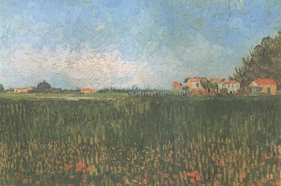 Vincent Van Gogh Farmhouses in a Wheat Field near Arles (nn04) Spain oil painting art